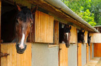 free Llangybi stable construction quotes